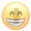 Emojis 16