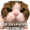 QUE SEA LA ULTIMA VEZ PENDEJO