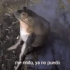 ✔️MEMESITOS QUE NECESITAS 2 🤭 9