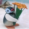 Pingu 🐧 23
