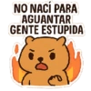 NO NACÍ PARA AGUANTAR GENTE ESTUPIDA