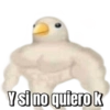 Memes pa’ no pelear v2 14