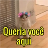 Queria você
aqui