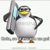 Monos chidos 12