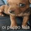 oi posso fala