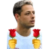 Chicharito  17