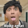Bodo amat