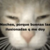 💥Chat Meme Collection💎🔝 1 8