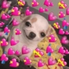 Reações de Amor🥰 8