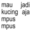 Anomali windah 16