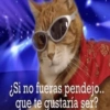 ¿Si no fueras pendejo..
que te gustaría ser?