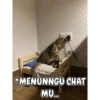 Ngerandom meme 19