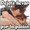 Dejate llevar
@Vickuras
por la pasión