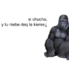 si chucha,
y tu niebe deq la kieres ¿
1