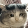 Ola mi vida 8