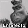 @paraguayita 01 En efecto