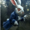 Coelho Relógio Viral 🐇⏱️ 5