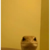 Memes Reacción(😐)😎 10