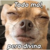 Todo mal pero divina.