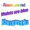 Roses are red Violets are blue Kamprettu