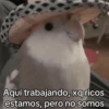 ✔️MEMESITOS QUE NECESITAS 2 🤭 7