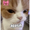 apasih 江