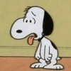 🦴🏠 SNOOPY 🏠🦴 18