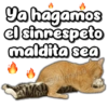Ya hagamos
el sinnespeto
maldita sea
co Vickypas