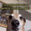o processo sabe que a gente tá confiando nele?