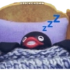 Pingu 🐧 27