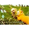 Aii mar q bonitinhu