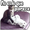 @Vickyfas
parece