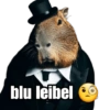 Capybara 2 14