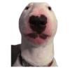 Memes Reacción(😐)😎 9