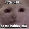 Está bien... no me hables más