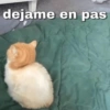 dejame en pas