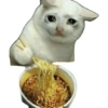 Olhas os gatinhos fofinhos 14