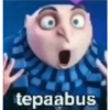 tepaabus
