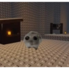 Hamster desesperado 10