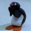 Pingu 🐧 13