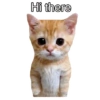 Hi there