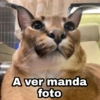 A ver manda foto