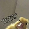 Hola pndejos, no
puedo dormir