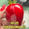 Morango do Amor 🍓 11