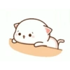 Kitten 24