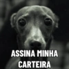 CLT/carteira de trabalho memes 5