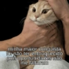 minha maior conquista foi não ter enlouquecido pois oportunidades não me faltaram