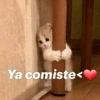 Ya comiste<