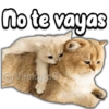SD
DA
, OU