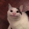 Shitpost 3 9